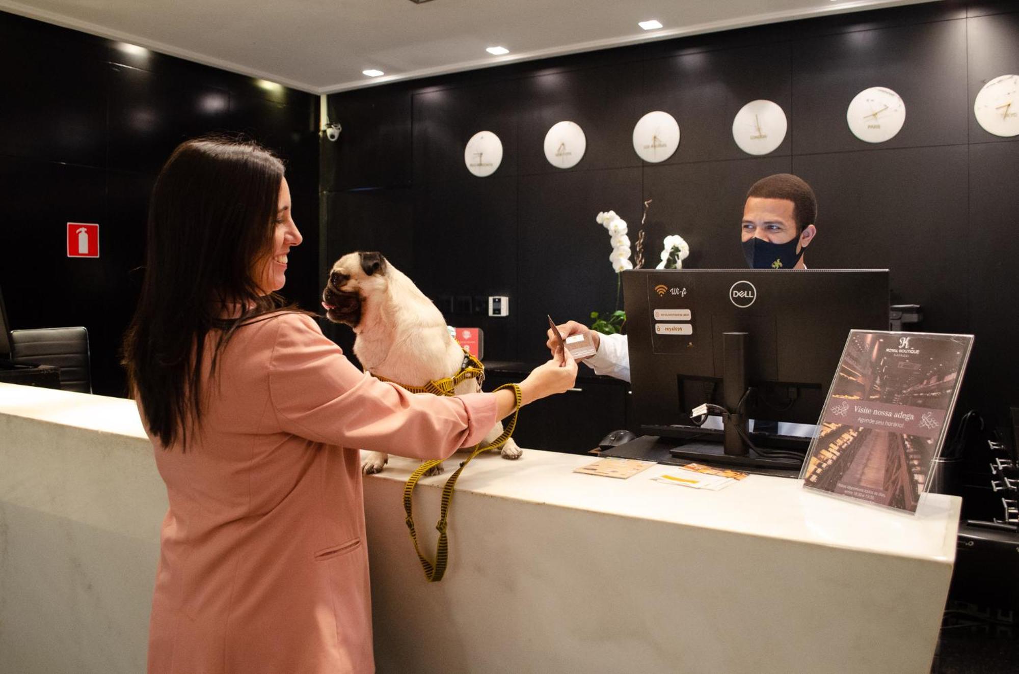 Royal Boutique Savassi Hotel Belo Horizonte Luaran gambar A woman checking in at a hotel with her dog